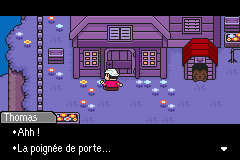 Poignée de porte